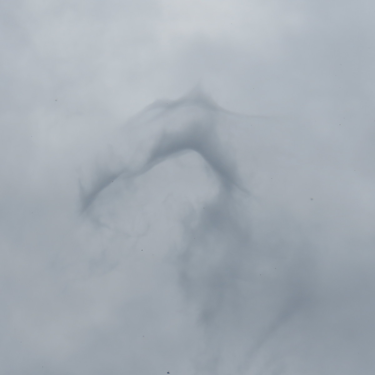 Seahorse cloud