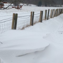 Walsall Wood Snow