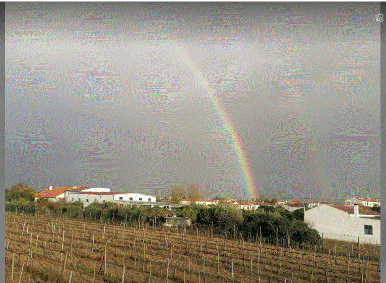 Portuguese rainbow.GIF