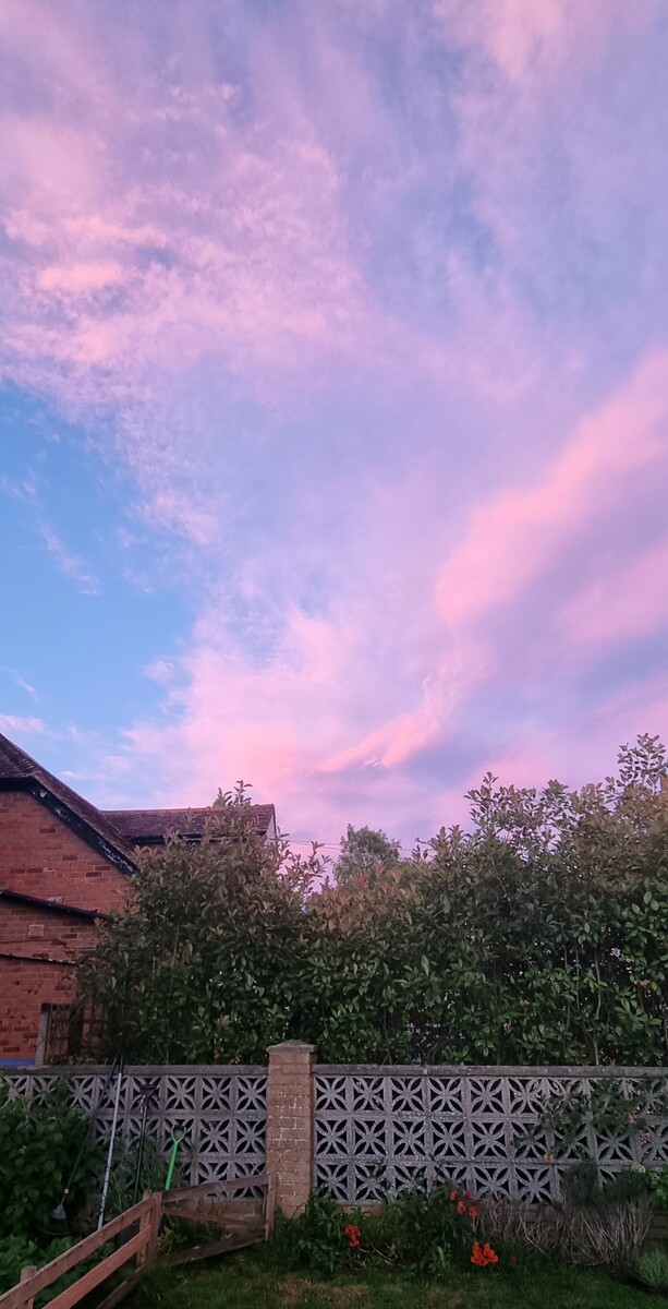Pink clouds on a July evening.